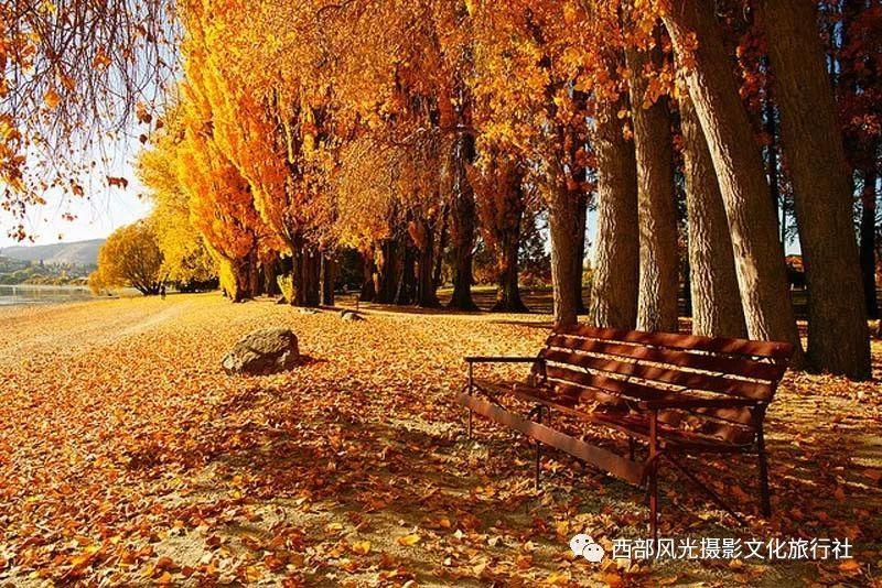 低温雨雪冰冻灾害Ⅳ级应急响应启动 超8万名应急救援力量前置一线